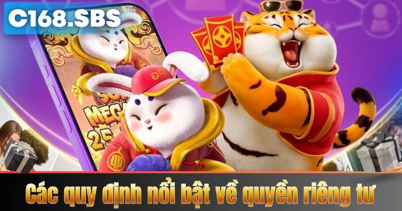 Các quy định nổi bật về quyền riêng tư