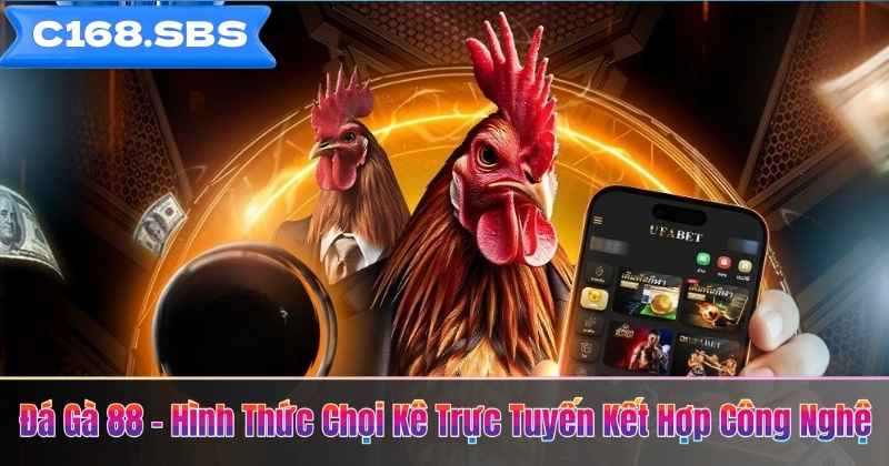 Đá Gà 88 – Hình Thức Chọi Kê Trực Tuyến Kết Hợp Công Nghệ 1 Đá Gà 88 – Hình Thức Chọi Kê Trực Tuyến Kết Hợp Công Nghệ