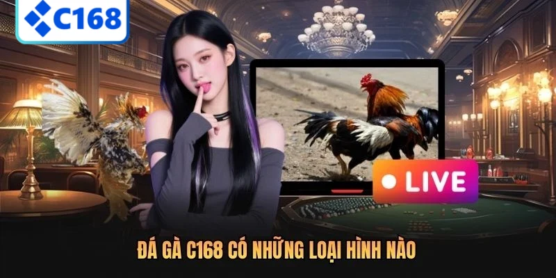 Đá gà C168 có những loại hình nào