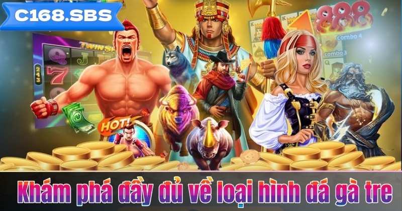 Khám phá đầy đủ về loại hình đá gà tre