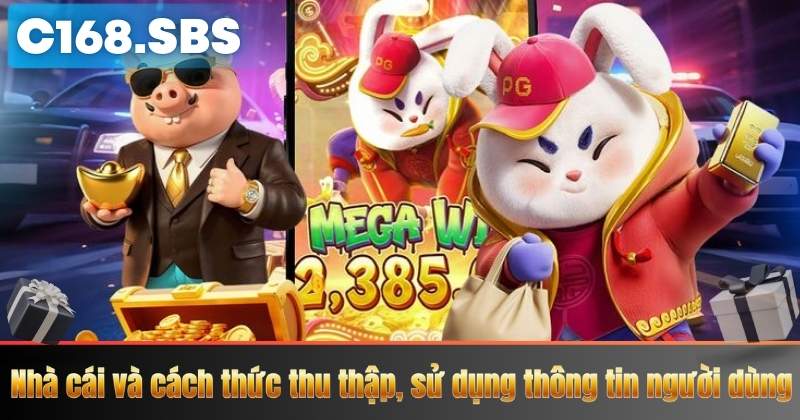 Nhà cái và cách thức thu thập, sử dụng thông tin người dùng